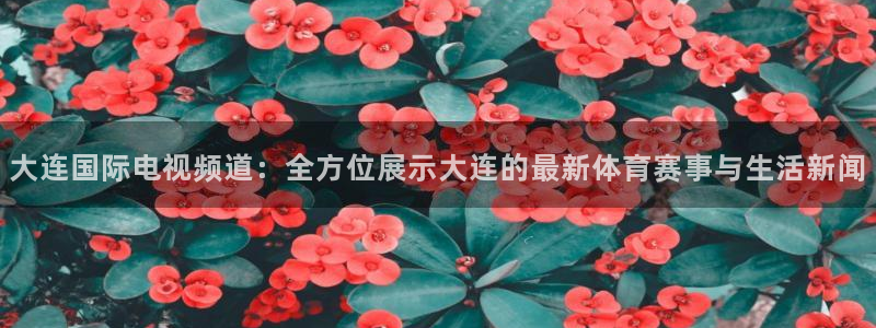 360直播乐球：大连国际电视频道：全方位展示大连的最新体育赛事与生活新闻