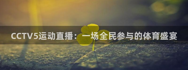 360直播体育直播：CCTV5运动直播：一场全民参与的体育盛宴