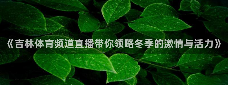 雨燕360体育nba季前赛：《吉林体育频道直播带你领略冬季的激情与活力》