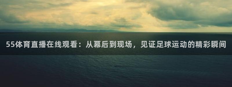 雨燕360体育直播故障解决：55体育直播在线观看：从幕后到现场，见证足球运动的精彩瞬间