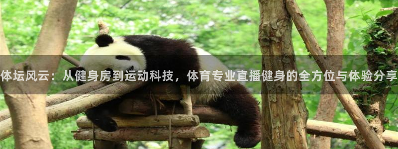 360足球直播雨燕：体坛风云：从健身房到运动科技，体育专业直播健身的全方位与体验分享